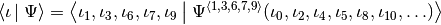 \braket\iota\Psi=\braket{\iota_1,\iota_3,\iota_6,\iota_7,\iota_9}{\Psi^{\avr{1,3,6,7,9}}(\iota_0,\iota_2,\iota_4,\iota_5,\iota_8,\iota_{10},…)}