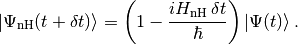 \ket{\Psi_{\text{nH}}(t+\delta t)}=\lp1-\frac{i\HnH\,\delta t}\hbar\rp \ket{\Psi(t)}.