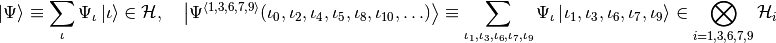 \ket\Psi\equiv\sum_\iota\Psi_\iota\ket\iota\in\HSpace,\quad\ket{\Psi^{\avr{1,3,6,7,9}}(\iota_0,\iota_2,\iota_4,\iota_5,\iota_8,\iota_{10},…)}\equiv\sum_{\iota_1,\iota_3,\iota_6,\iota_7,\iota_9}\Psi_{\iota}\ket{\iota_1,\iota_3,\iota_6,\iota_7,\iota_9}\in\bigotimes_{i=1,3,6,7,9}\HSpace_i