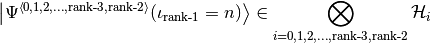 \ket{\Psi^{\avr{0,1,2,…,\text{rank-3},\text{rank-2}}}(\iota_\text{rank-1}=n)}\in\bigotimes_{i=0,1,2,…,\text{rank-3},\text{rank-2}}\HSpace_i